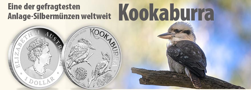 Kookaburra