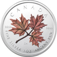 Kanada 5 Dollar 2001 stgl. Maple Leaf mit Farbmotiv 