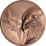 Mongolei-250Togrog-2020-CUpl-Majestic Eagle-RS
