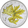 Kanada-5 Dollar-2006-AGstgl-Maple Leaf-Farbe-RS