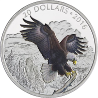 Kanada-20 Dollar-2016-AGpp-Bald Eagle-Farbe-RS