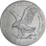 USA-1Dollar-2024-AgStgl-American-Eagle-VS