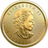 Kanada-5Dollar-2022-Austgl-Maple-Leaf-Gold-1-10-oz-VS