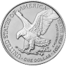 Amerikanischer-Silberadler-2022-1-Unze-Silber
