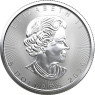 Kanada 5 Dollar 2020 Maple Leaf - Ahornblatt 1 Oz Silbermünze