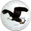 Kanada 5 Dollars 2014 bfr. Birds of Prey Bald Eagle in Farbe I