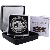 Somalia-1Unze-2023-Elephant-AGpl-Etui