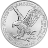 1-Unze-Silbermuenze-American-Eagle-2023-VS