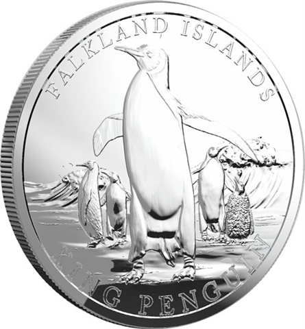 Falklandinseln-5Falkland-Pfund-2025-Silbermünze-1oz-Königspinguin-RS