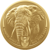 Südafrika-1Unze-2023-Gold-Elefant-BIG-Five-RS