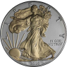 USA-1 Dollar-2016-AGstgl-vergoldet-Eagle-RS