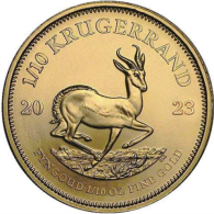 Südafrika-1-10-Krügerrand-RS