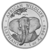 Somalia-100-Shillings-2021-Elefant-I