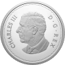 Kanada-1Dollar-2024-AGPP-Canadian-AirForce-VS