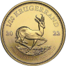 Südafrika-1-10oz-2022aust-krügerrand-I-(1)