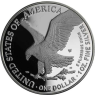 USA-1 Dollar-2021-AGpp-Silver Eagle neues Designe-VS