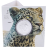 Süd Afrika-5 Rand-2023-AGstgl-Big Five Leopard-Folder front