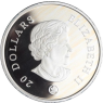 Kanada-20 Dollar-2008-AGpp-Amethyst Crystal Snowflake-VS
