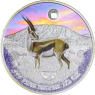 Kamerun-500 Francs-2022-AGstgl-Savanna Life-Farbe-RS3