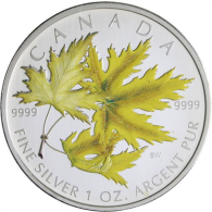 Kanada-5 Dollar-2006-AGstgl-Maple Leaf-Farbe-RS