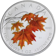 Kanada-5 Dollar-2007-AGstgl-Sugar Maple- Farbe Orange-RS