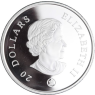 Kanada-20 Dollar-2008-AGpp-Sapphire Crystal Snowflake-VS