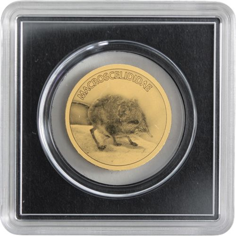Tschad-40x3000 Francs-AU-Inhabitants of the World-Album