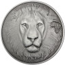3 Unzen Silber 2013 Löwe - Afrika Antique Finish Silver Ounces