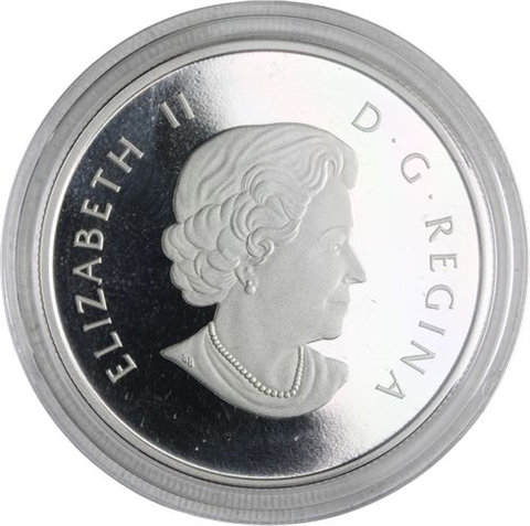 Kanada-10 Dollar-2013-AG-Twelve-Spotted Skimmer-RS
