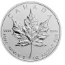 kanada-5-dollars-silber-2010-bfr-5-maple-leaf-silbermuenze-09d