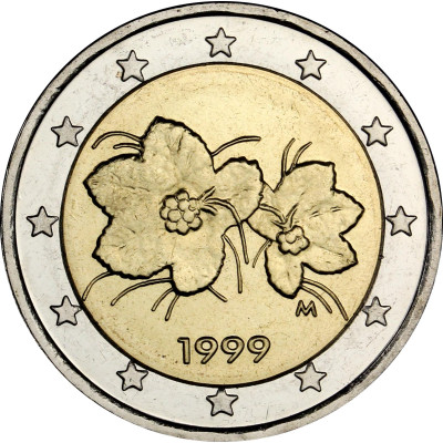 fi2euro99