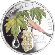 Kanada-20 Dollar-2011-AGpp-Maple LeafCrystel Raindrop-hellgrün-RS