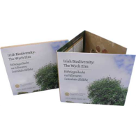 Irland-3,88 Euro-2025-Stgl-KMS-Folder