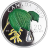 Kanada-20 Dollar-2010-AGpp-Maple LeafCrystel Raindrop-grün-RS