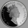 Kanada-15 Dollar-2000-AGpp-Jahr des Drachen-VS