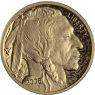 USA-10 Dollar-2008-AUpp-Büffel-VS
