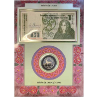Irland-1-Pfund-Banknote-und-Münze-1