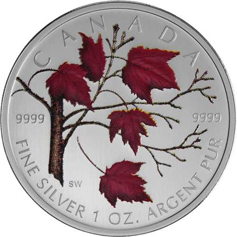 Kanada-5Dollar-2004-AGpp-Farbe-Maple Leaf-Etui