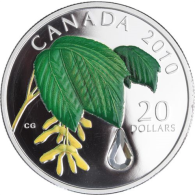 Kanada-20 Dollar-2010-AGpp-Maple LeafCrystel Raindrop-grün-RS