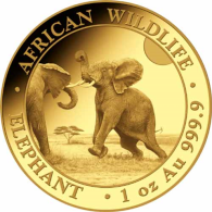 Somalia-1000Schilling-2024-Elefant-RS