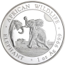 Somalia-100Schilling-2024-Elefant-RS