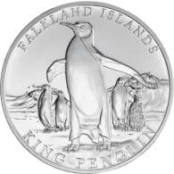 Falklandinseln-5 Pfund-2025-AGstgl-Königspinguin-RS_ergebnis