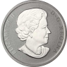 Kanada 25 Cents 2013 stgl. Stockente-II