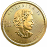 Kanada-5Dollar-2023-1-10-Unze-Gold-Maple-Leaf-VS