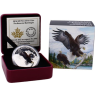 Kanada-20 Dollar-2016-AGpp-Bald Eagle-Farbe-Etui