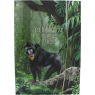 Kamerun-16x500 Francs-2021-AGstgl-Jungle Life-Album