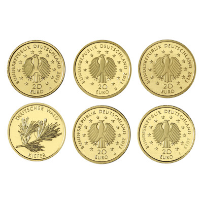 Deutschland 20 Euro Gold 2013 Komplettsatz Kiefer Mzz. A - D - F - G - J