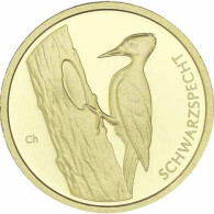 Deutschland 20 Euro Gold 2021 Schwarzspecht - Heimische Vögel