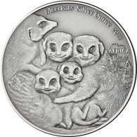 Congo Meerkats 3 Silver Ounces 2013