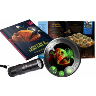 Kombiangebot-3Euro-2023-Anglerfisch-RS1jpg